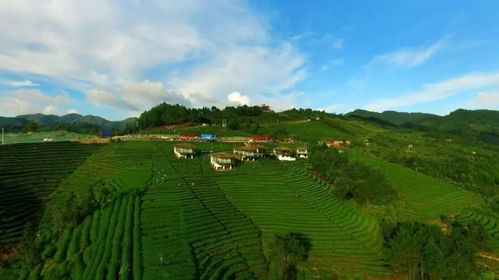 太美了！獨山凡間生態旅游項目強勢登陸北京文交會