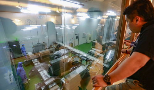 工業(yè)與椰香的交響曲 文昌龍樓椰子王國觀光工廠的融合之旅