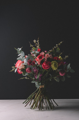 半朵鮮花 靜物花卉攝影中的獨(dú)特視角